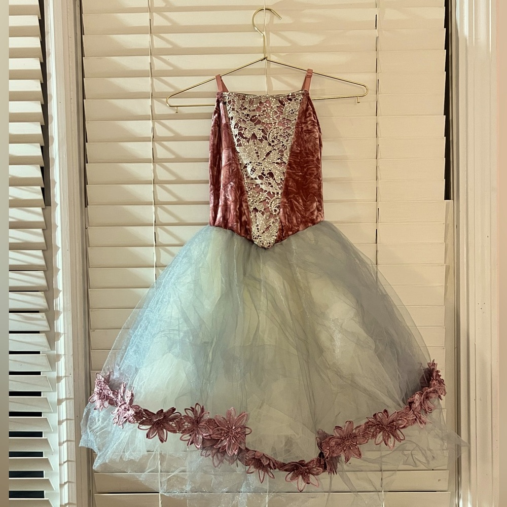 The vibes of this costume give Spring. Only worn ONCE at a recital!